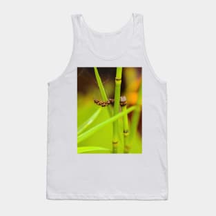 Green water bamboo stalk with seeds Tank Top